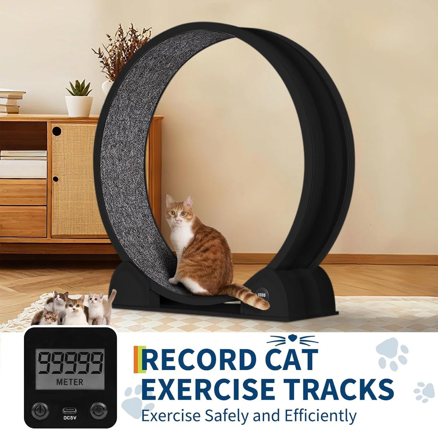 HiMISS Cat Exercise Wheel Indoor Treadmill for Running and Training