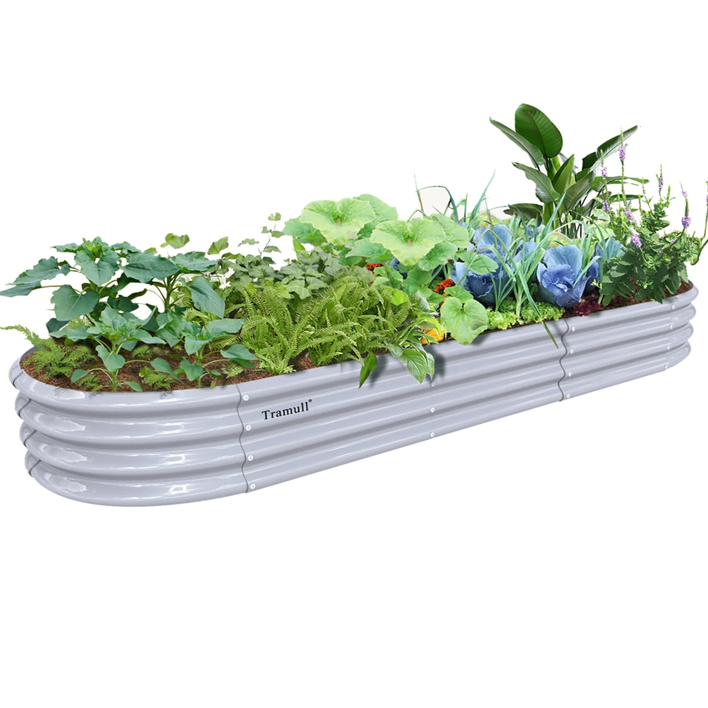 Tramull Galvanized Raised Garden Bed for Outdoor Vegetables and Herbs