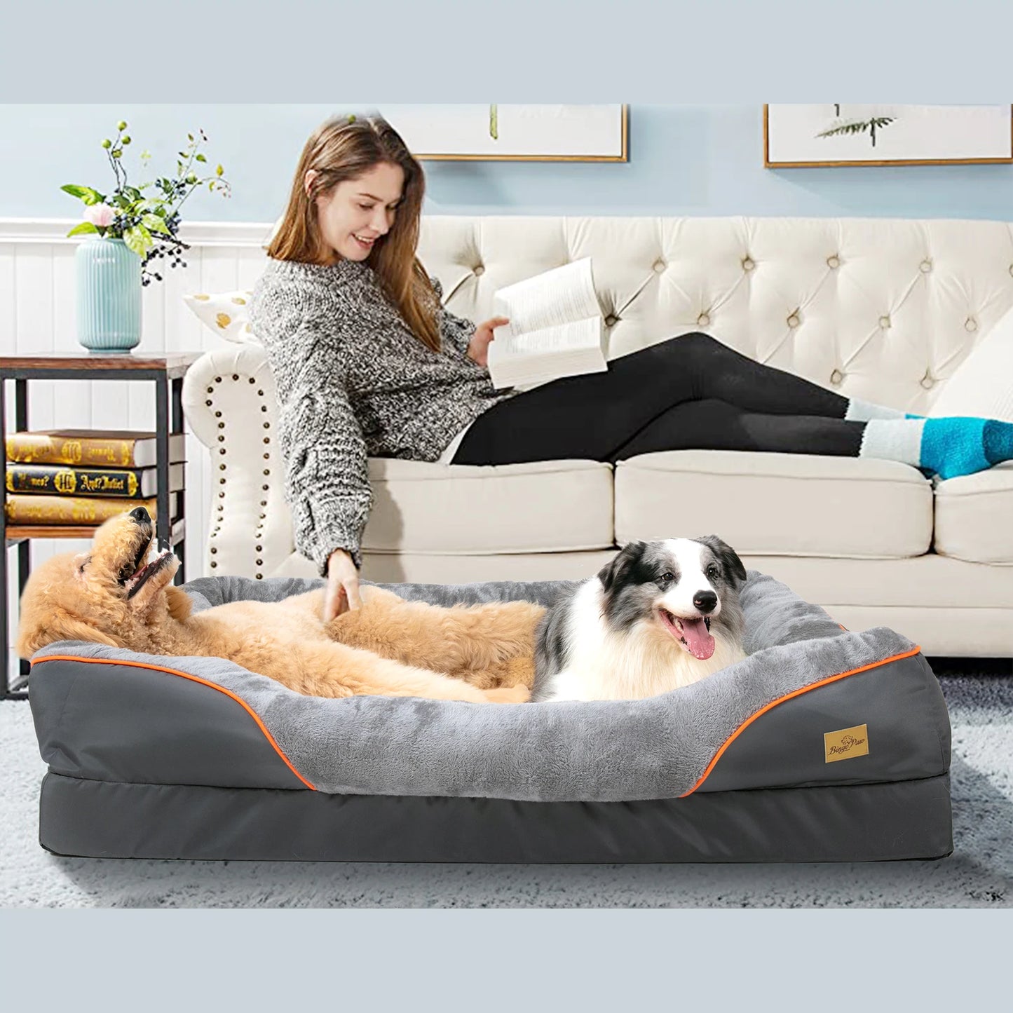 BINGOPAWCN Anti Allergy Dog Bed With Washable Removable Cover