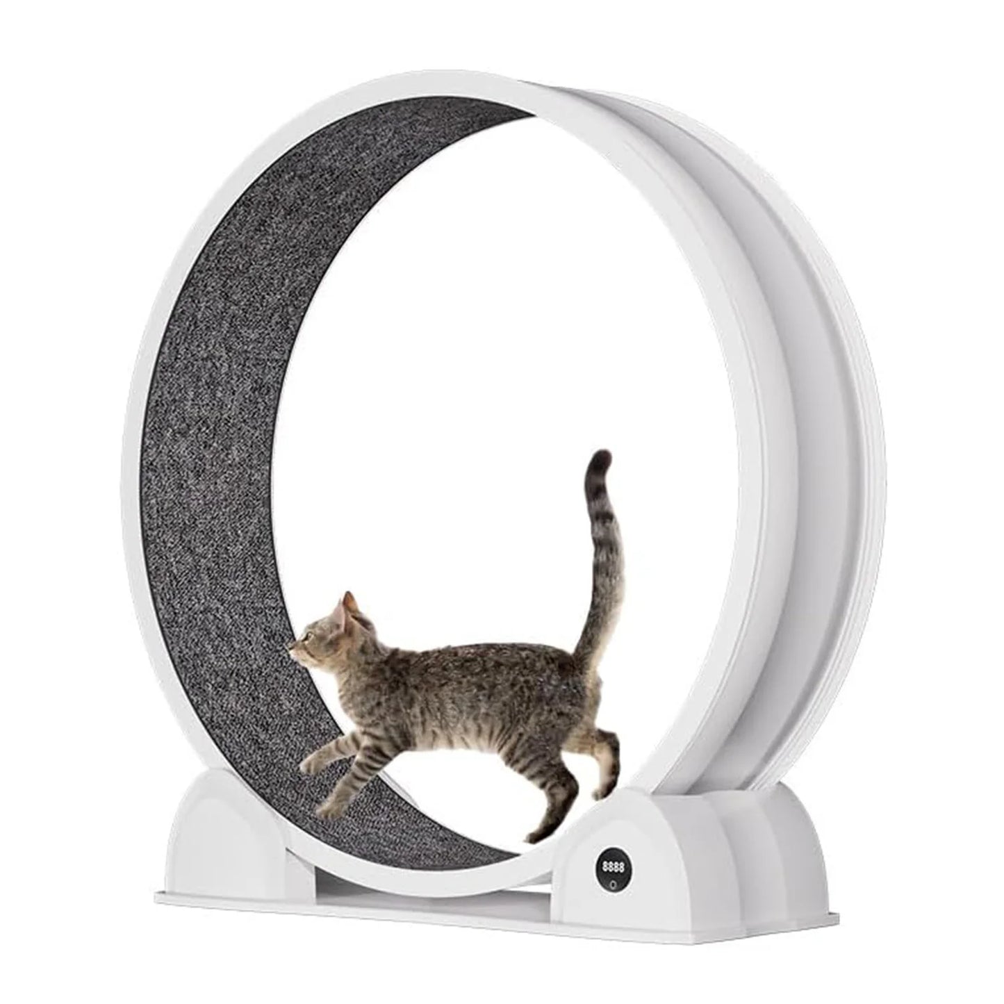 HiMISS Cat Exercise Wheel Indoor Treadmill for Running and Training