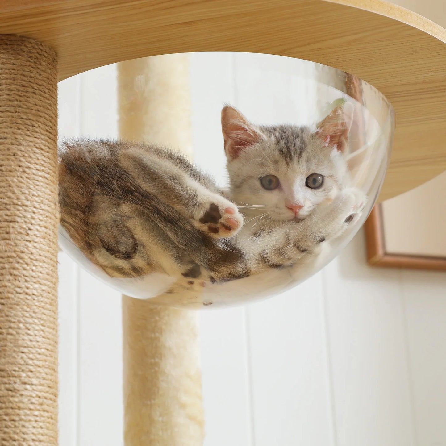 PAWZ Road Multi Level Cat Tree Indoor Wood Cat Tower