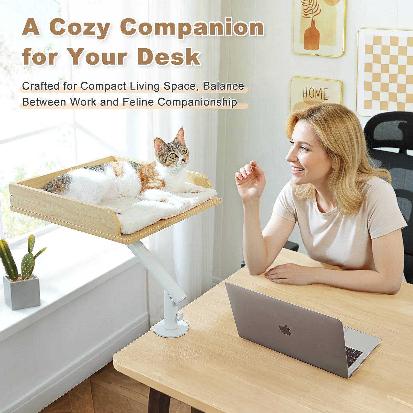 PAWZ Road Cat Desk Bed 360 Rotatable Stand for Indoor Cats