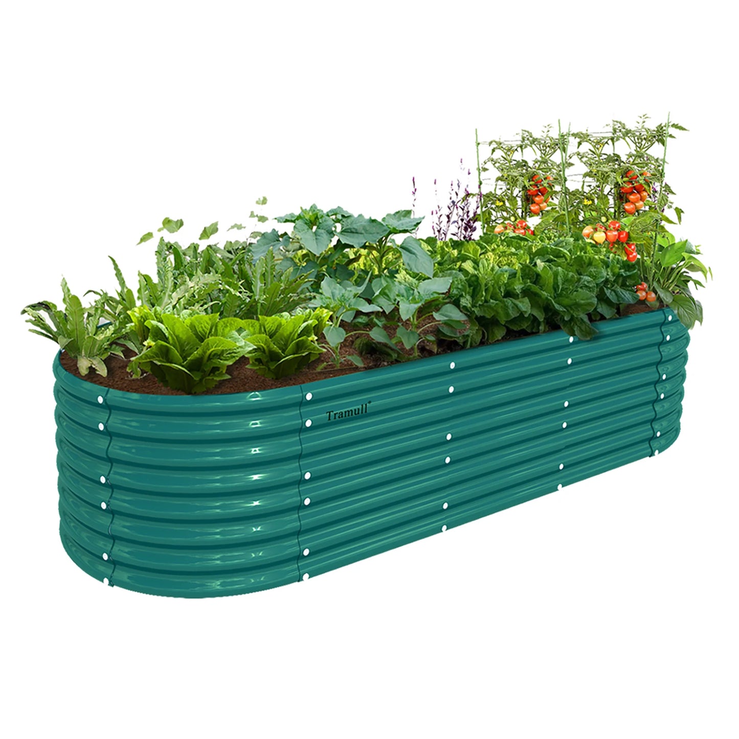 Tramull Galvanized Raised Garden Bed Kit Oval Metal Planter Box