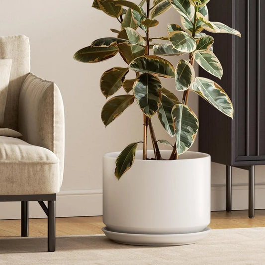 Ceramic Plant Pot With Drainage Holes And Saucer For Home