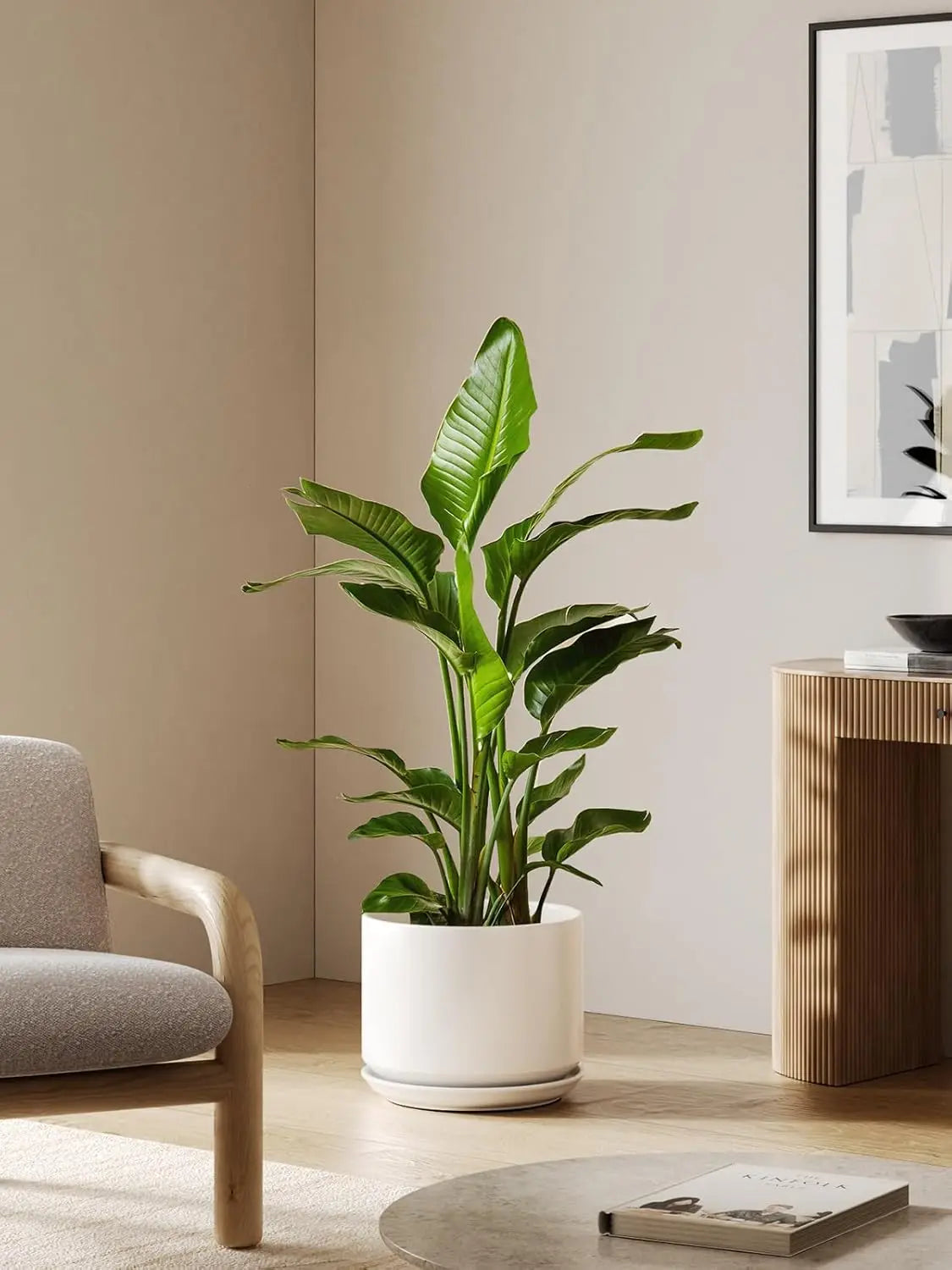 Ceramic Plant Pot With Drainage Holes And Saucer For Home