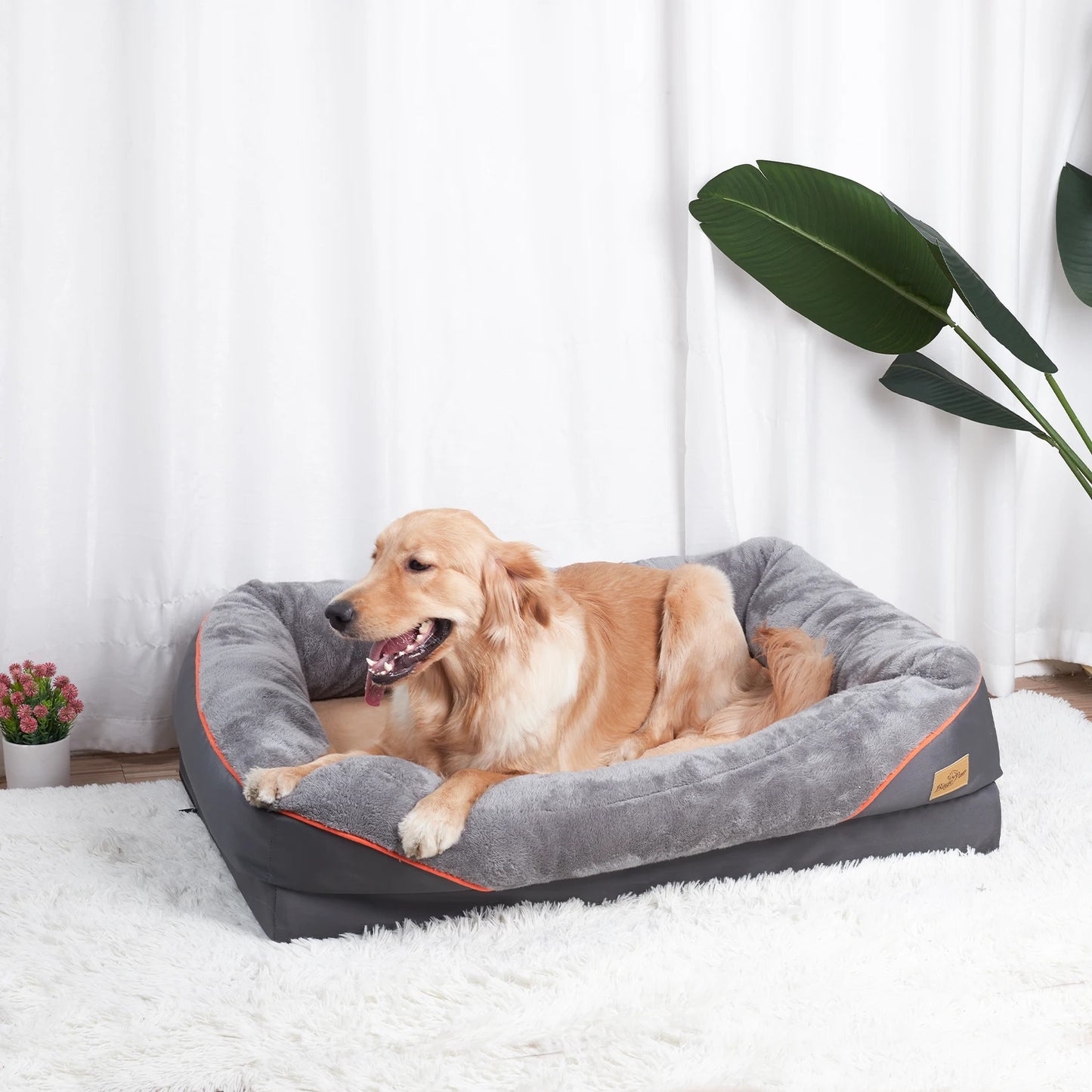 BINGOPAWCN Anti Allergy Dog Bed With Washable Removable Cover