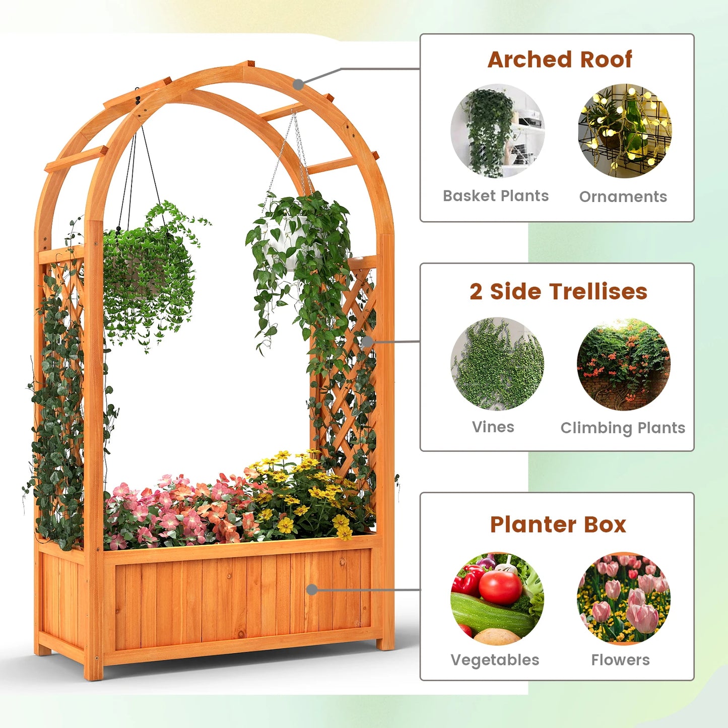Wooden Raised Garden Bed With Lattice Trellis And Arched Roof